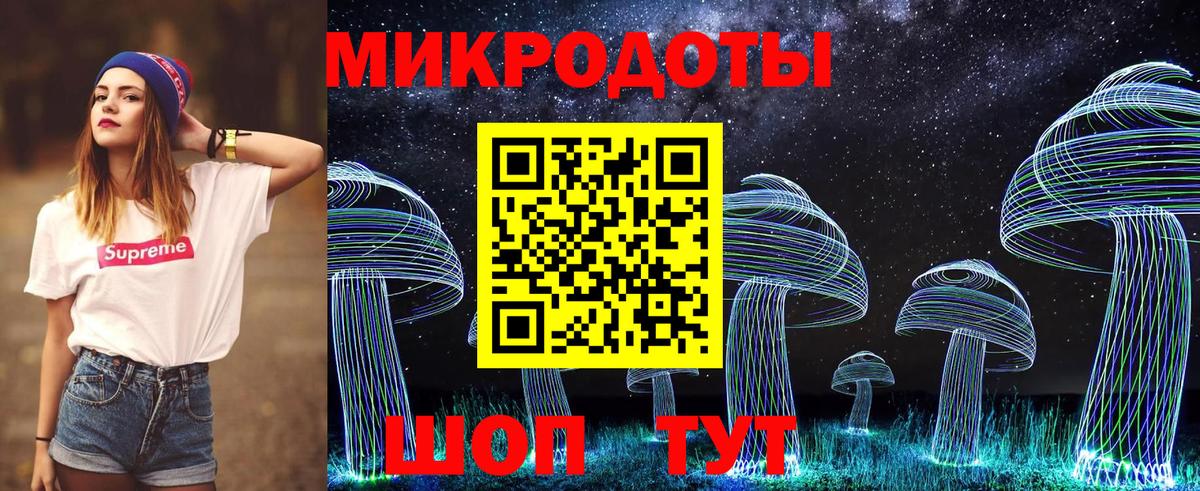 Псилоцибиновые грибы Psilocybe  Вход с VPN  Псилоцибиновые грибы мицелий  Аргун 